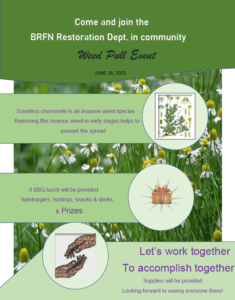 BRFN Community Weed Pull Event - Blueberry River First Nations