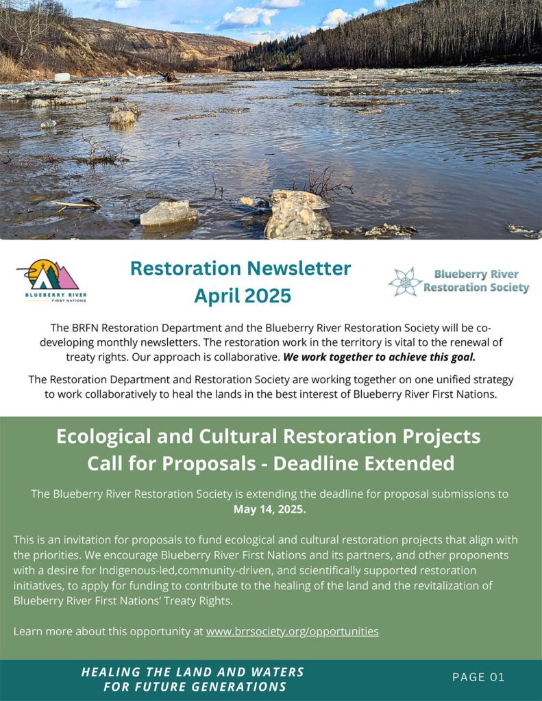 Restoration Newsletter - April 2025 - Blueberry River First Nations